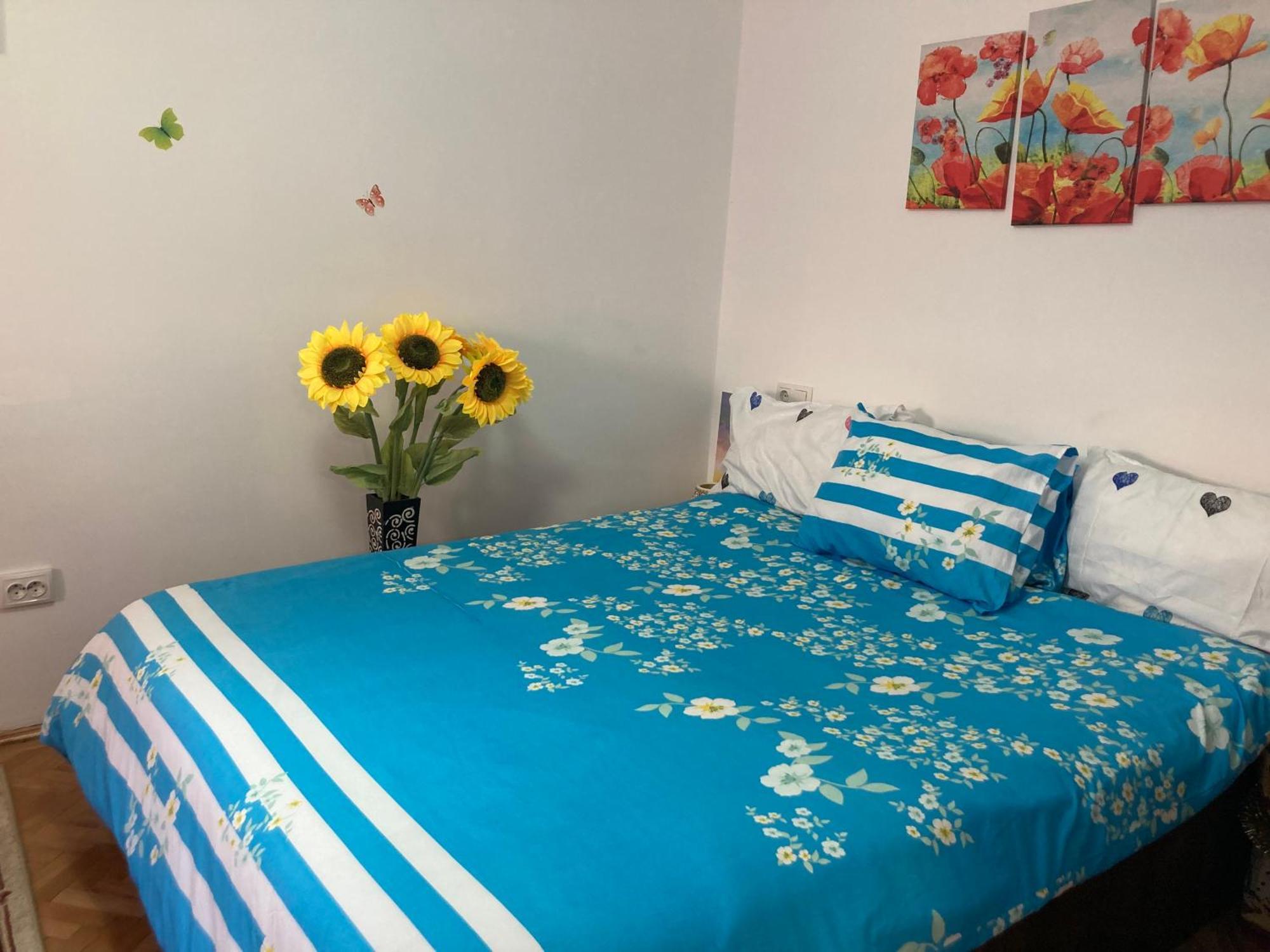 Cosy Hideaway Daire Braşov Dış mekan fotoğraf